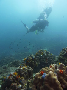 Stef and Seb Scuba photo