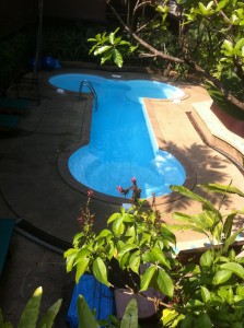 Willy shaped pool