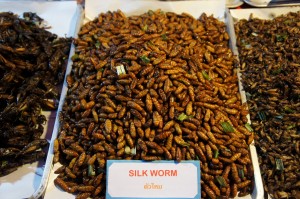 Fried silkworm at a food market in Chiang Mai