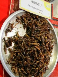 Fried grasshopper