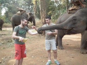 Stef and Seb feeding bananas to elephant