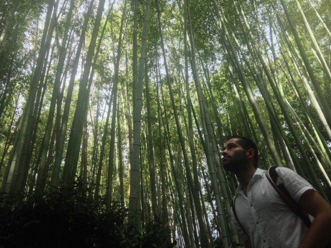 Seby posing in beautiful Sagano bamboo forest