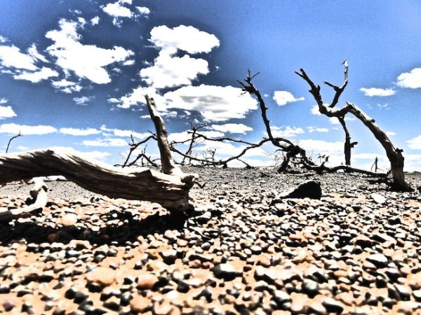 Le sol aride du désert de Gobi
