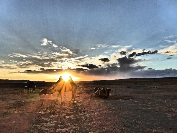 Coucher de soleil à Khongoryn Els dans le désert de Gobi