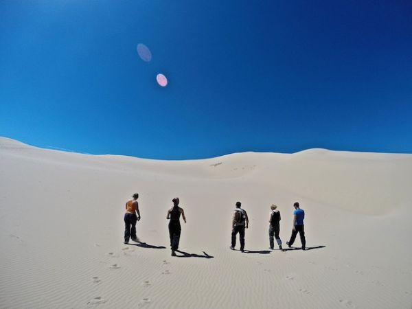Les dunes de sable de Khongoryn Els dans le désert de Gobi