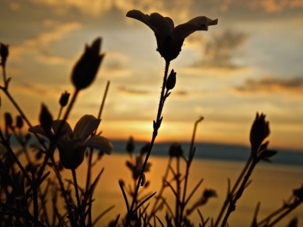 Coucher de soleil sur le lac Baïkal