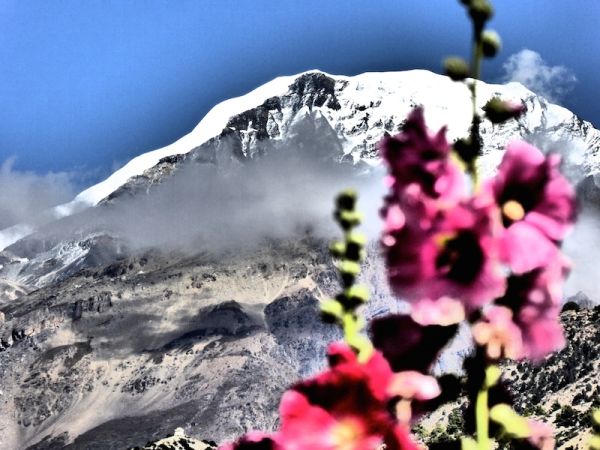 Mont Annapurna IV dans les Himalayas